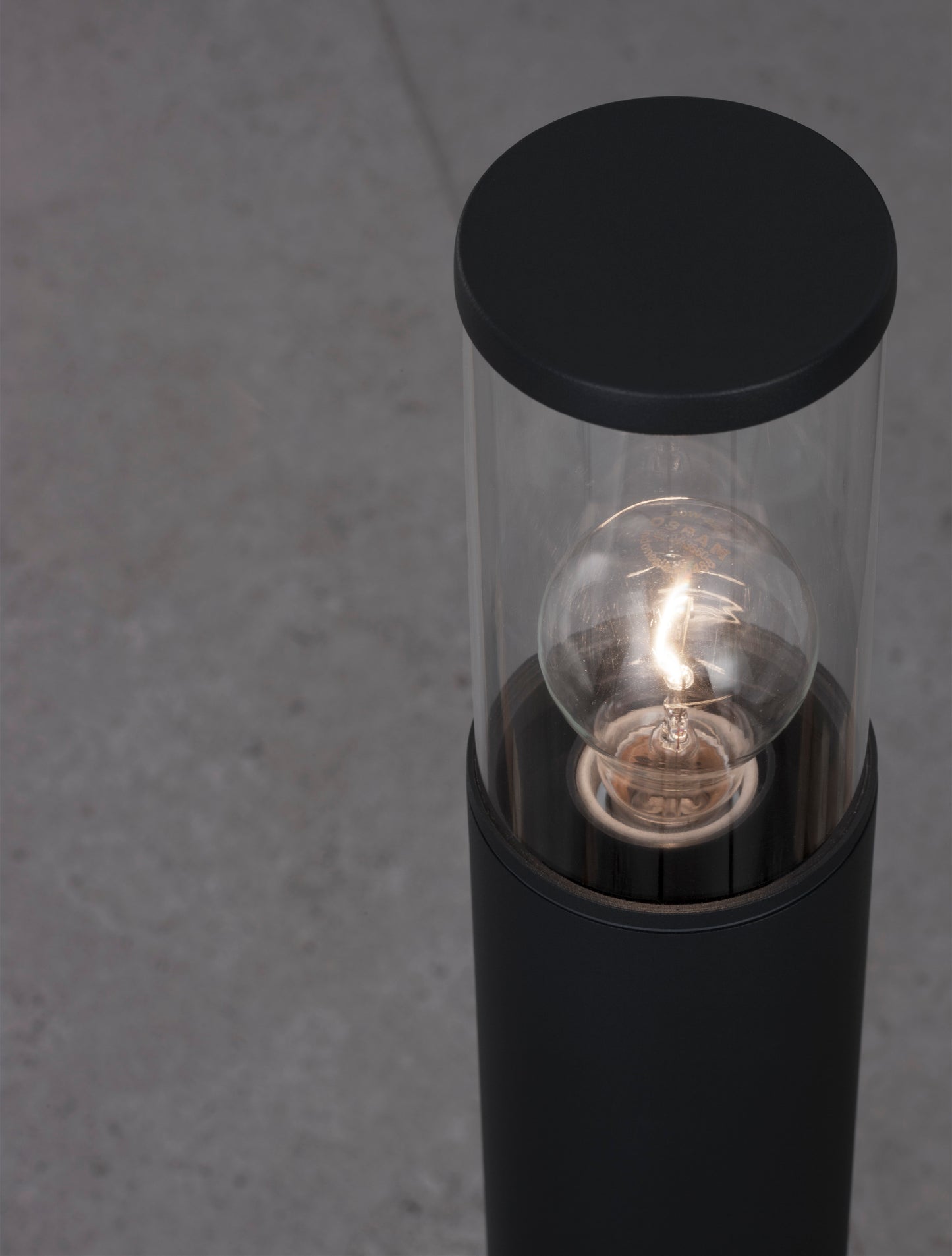 Zosia Bollard