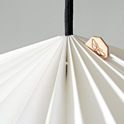 Hanging lamp lens